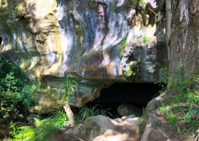 Waipu Cave Entrance