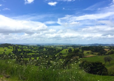 Waipu caves road scenery