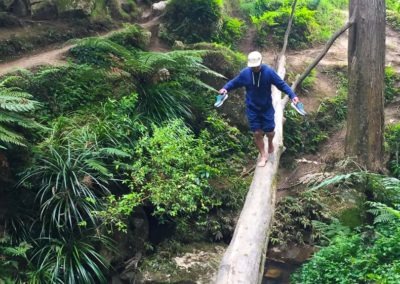 Waipu caves walk