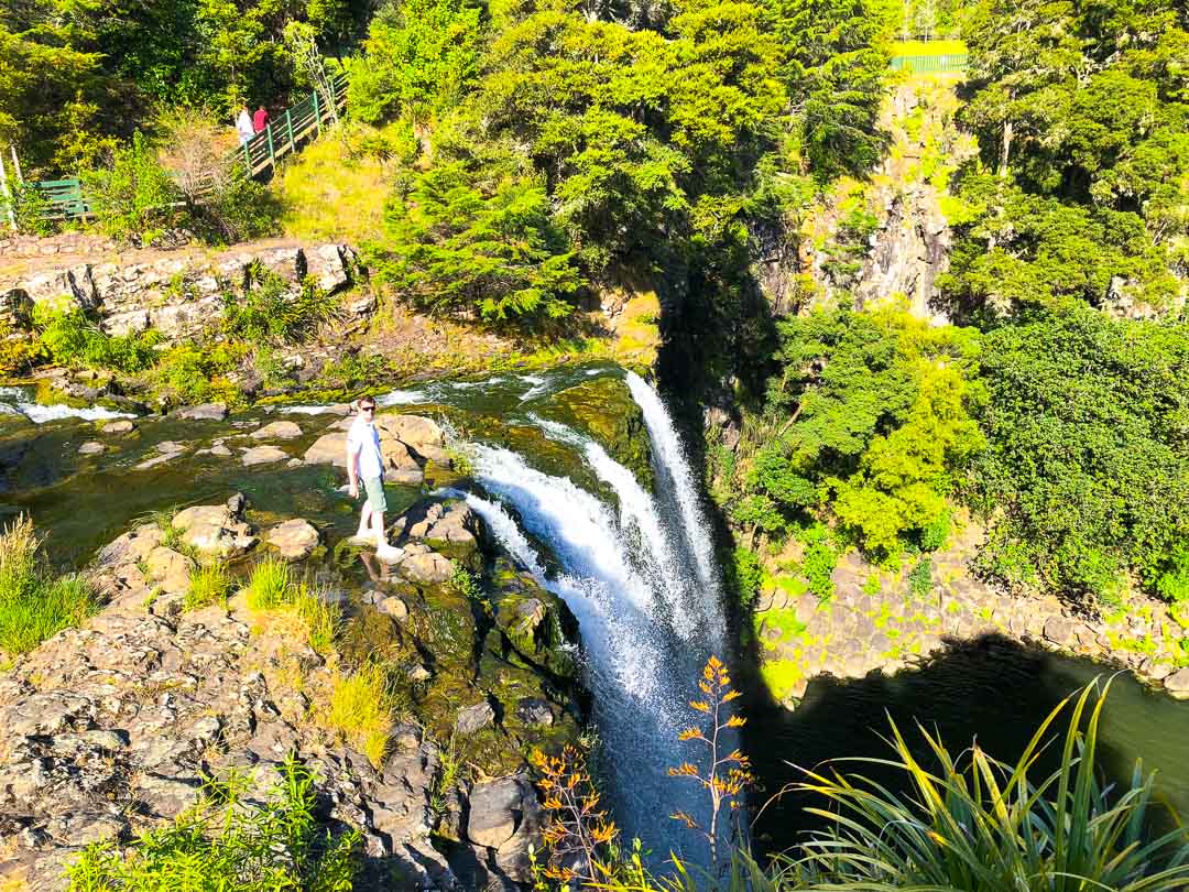 Whangarei Falls top view