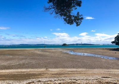 Whangarei beach