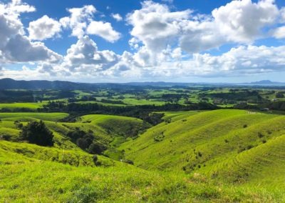 Whangarei view rolling block